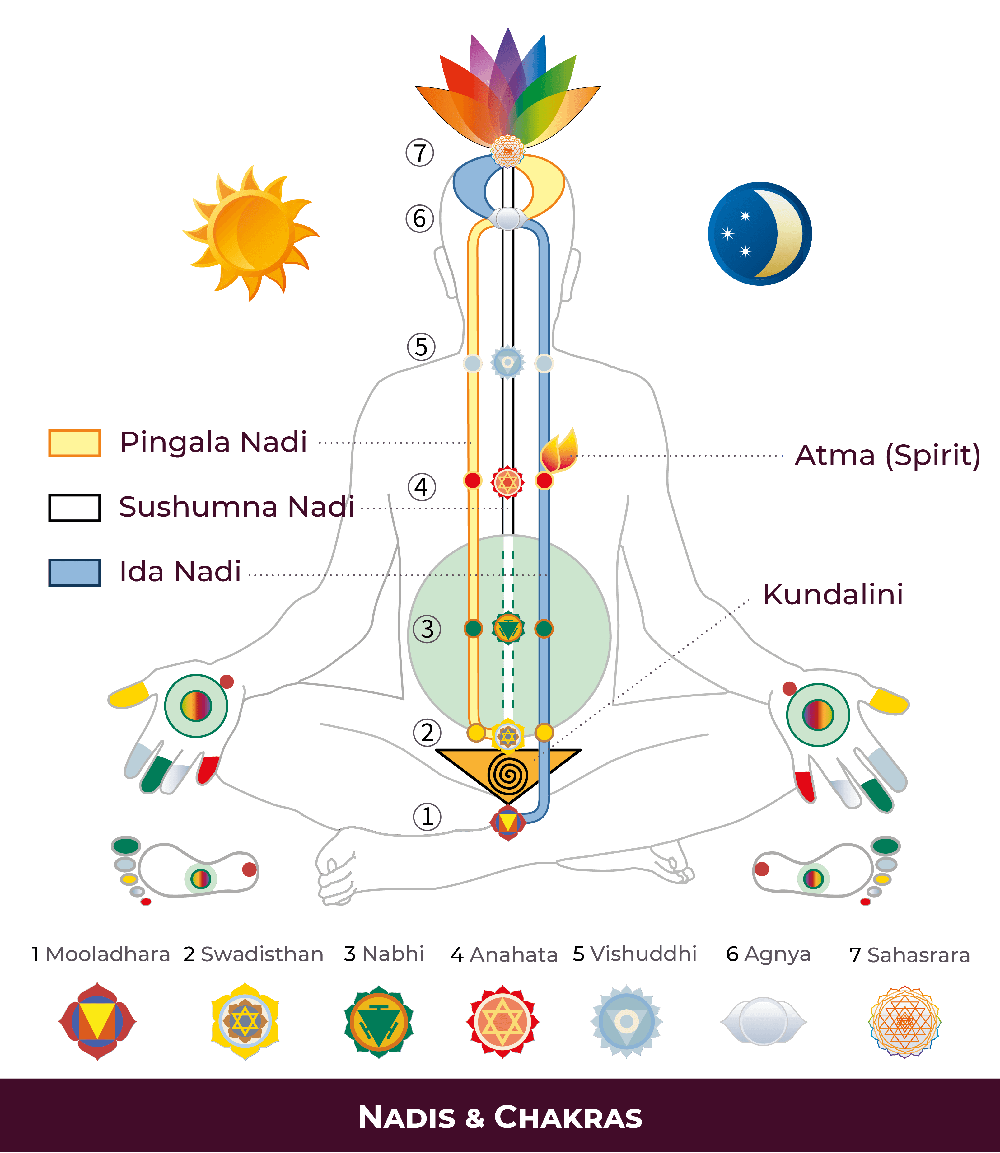 Nadis and chakras subtle system diagram